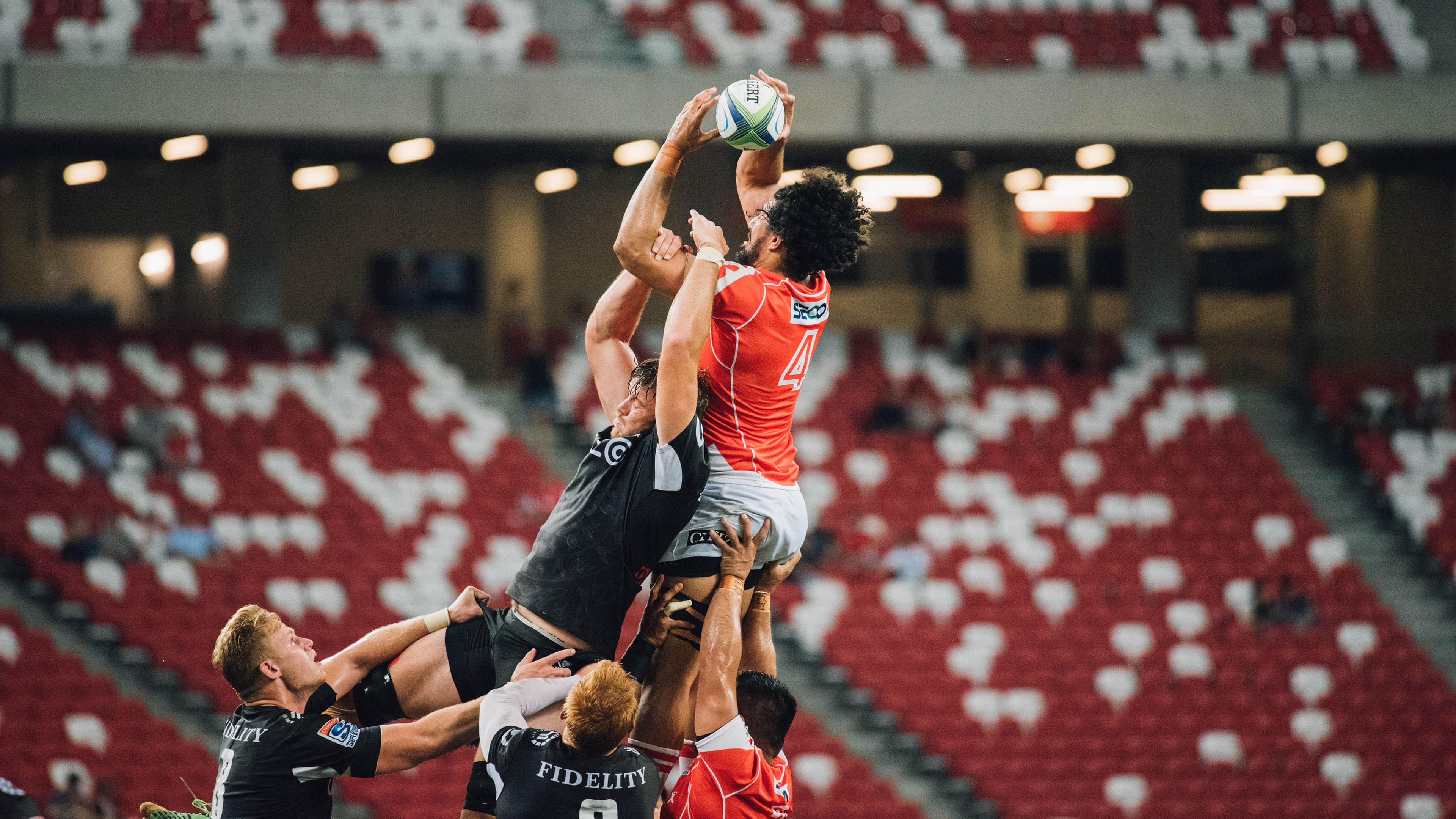 综合格斗赛场焦点！荷兰队对阵日本队，强强对话引爆全球球迷关注